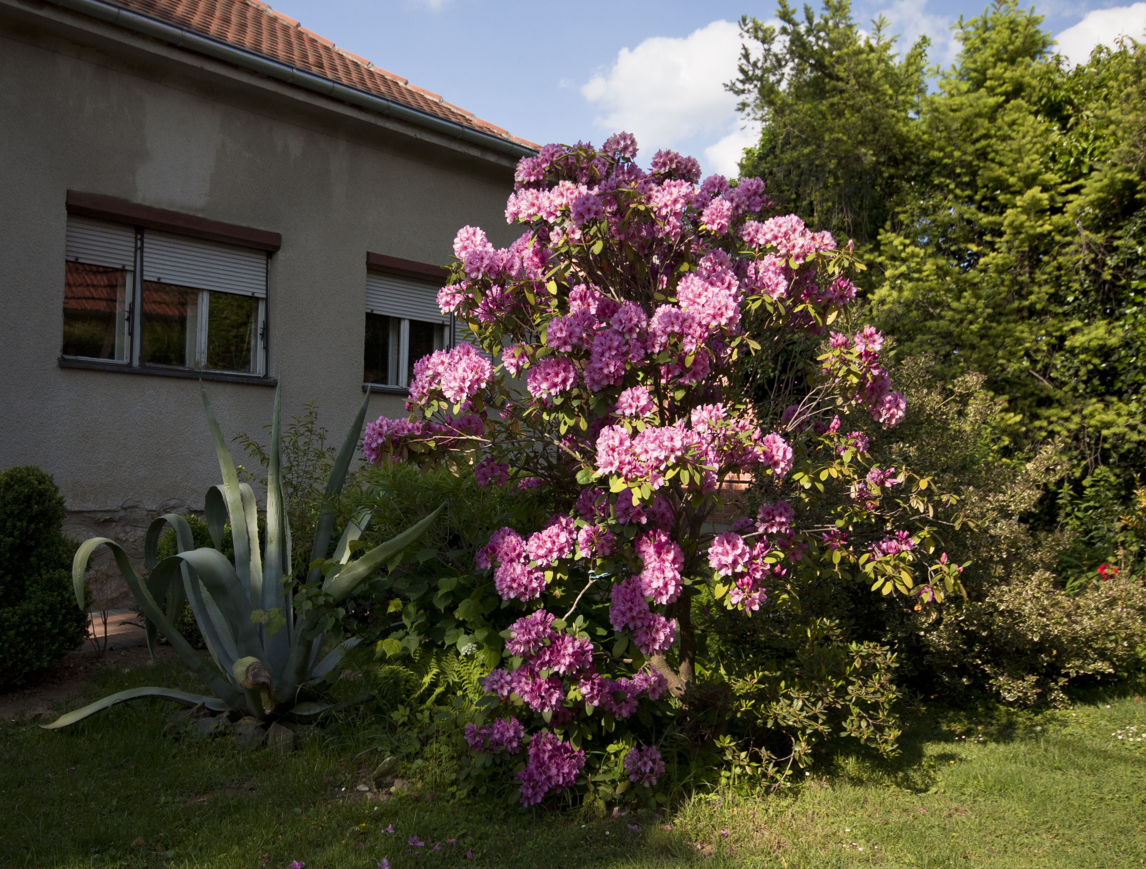 Kapetanova Kuća photo 3